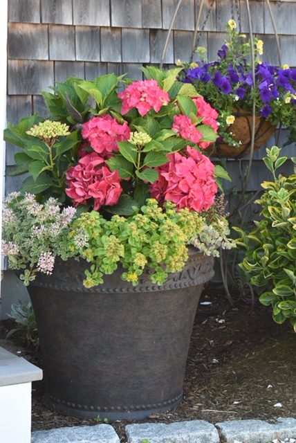 potted-flowers